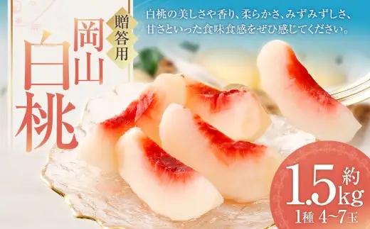 贈答用 （ 赤秀 ） 岡山白桃 約1.5kg もも 桃 モモ 白桃 くだもの 果物 フルーツ 果実 果汁 果肉 岡山県産 旬 ギフト プレゼント 贈り物 贈答品 【 2026年6月下旬～9月上旬迄順次発送予定 】