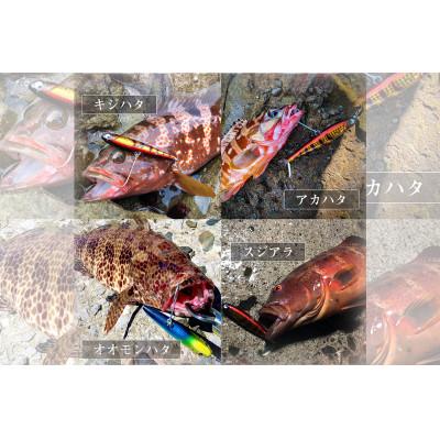 ふるさと納税 飯塚市 RUDIE‘Sの魚極ペン100(35g)全6カラーセット 釣り具 ルアー |  | 02