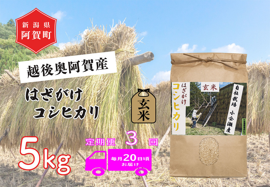 
            《令和6年産米》【定期便】3回　越後奥阿賀産はざがけ（天日干し）コシヒカリ　玄米5kg（1袋）
          