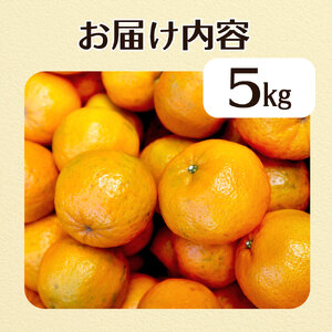 令和9年1月発送予定 規格外だけど規格外じゃない!? 訳あり 足摺ぽんかん 5kg デコポンの親 みかん 柑橘 果物 果実 ミカン ポンカン フルーツ おやつ デザート 5キロ 美味しい 井村農園【R