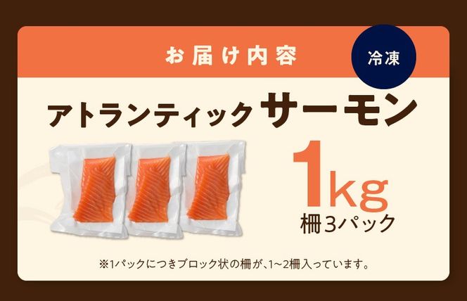 アトランティックサーモン 1kg 刺身用ポーション 小分け 3パック 真空パック 099H3167
