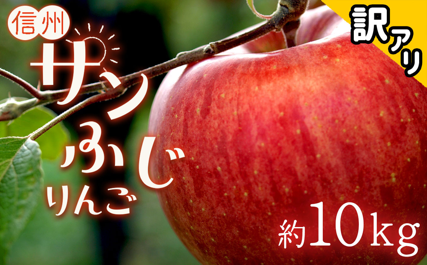 
            2025年 冬 先行予約 訳あり 信州の旬 りんご サンふじ ⾧野県産 約3kg 6～14玉 クラウン農園 | 果物 フルーツ りんご 林檎 リンゴ ふじりんご サンふじ さんふじ サンフジ 訳あり 訳アリ ワケアリ 特産品 千曲市 長野県 信州 先行予約
          