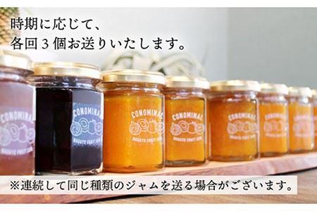 【全12回定期便】 季節の果実ジャム 毎月3本（120g/本） 長与町/アグリューム [EAI009]  瓶 個別 セット ジャム