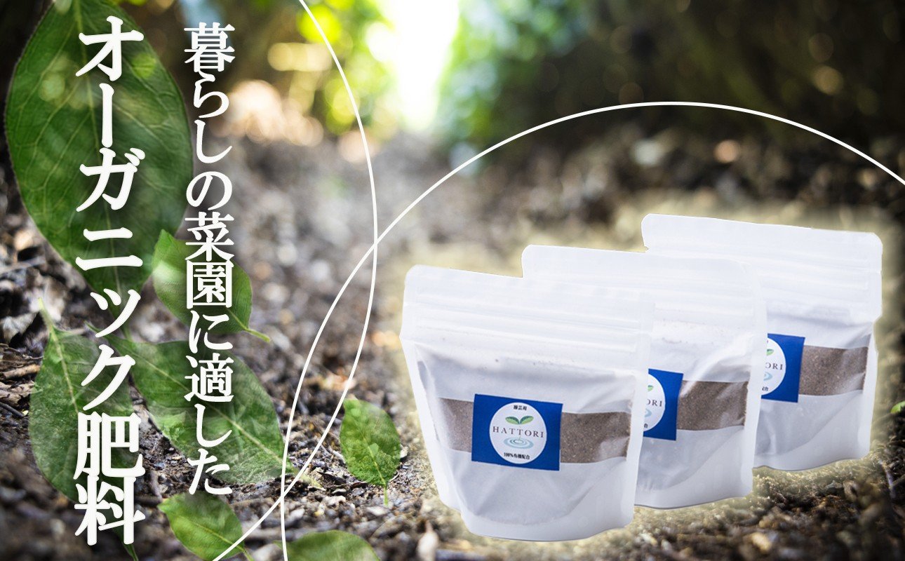 
            家庭園芸用  有機肥料（有機入り配合653)150g×3袋
【肥料 オーガニック 野菜  農園 畑 施肥  家庭菜園 農業資材 窒素 リン酸 三重県 四日市市ふるさと納税】
          