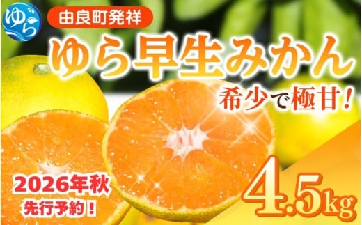 【2026年秋・発送分！】ゆら早生 みかん 4.5kg  ※2026年10月中旬頃より順次発送予定 / 和歌山県 柑橘 みかん 甘い 蜜柑 フルーツ 果物 くだもの 食品 人気  晩柑 おすすめ 送料無料 産地直送 由良町【kzmn005】