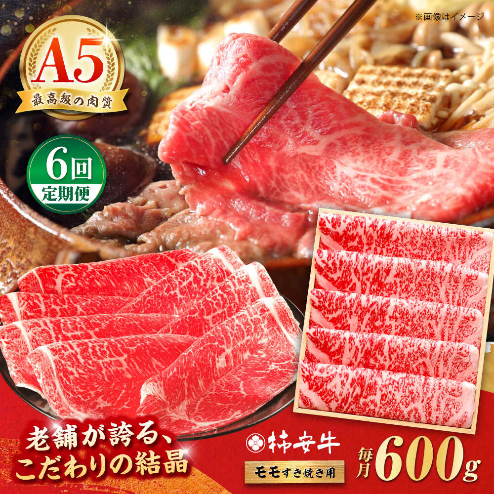 【ふるさと納税】【6回定期便】最高級A5等級 三重県産黒毛和牛 柿安牛 モモ 600g / 国産牛 ブランド牛 牛肉 冷蔵 / 亀山市 / 柿安本店 [AMBW007]
