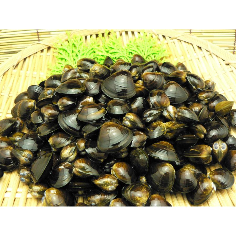 ＜桑名はまぐり屋＞三重県産「しじみの味噌汁」（インスタント）20食