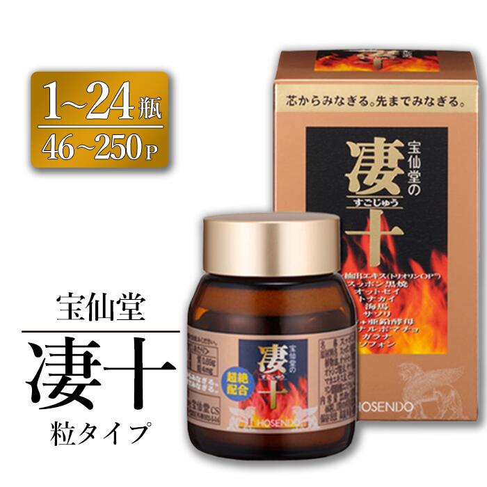 【ふるさと納税】宝仙堂 凄十 粒タイプ 46p 120p 250p 1瓶 6瓶 12瓶 24瓶 八街市 千葉 エナジードリンク ドリンク