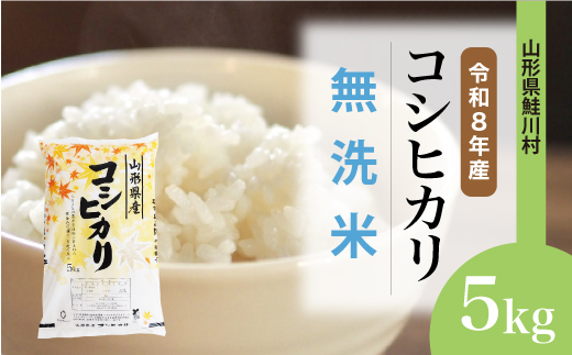 ＜令和8年産米＞ 令和9年4月下旬発送  こしひかり 【無洗米】 5kg （5kg×1袋） 山形県鮭川村