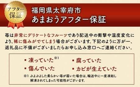 うるう農園のあまおう 4パック ＋ 1パック 合計5パック（約1425g） 訳あり あまおう （小粒・いびつ・大型） 【2026年3月上旬～4月上旬発送予定】 苺 いちご イチゴ 果物 フルーツ デザ