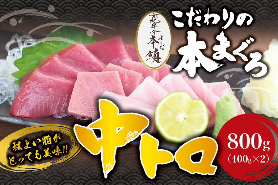 本マグロ 中とろ 800g（400g×2）サク 「プレミア和歌山認定」  和歌山県でも指折りの好漁場で養殖された本鮪です！  南紀串本よしだ本鮪【mhs102A】