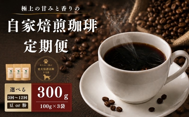 
                  【 定期便 】 自家焙煎 珈琲豆 300g/回 3か月 ~ 12か月 ( コーヒー コーヒー豆 コーヒー粉 コーヒー定期便 定期 3回 6回 12回 小分け 珈琲 豆 粉 中煎り 水出し ドリップ ブレンド 保護犬 動物愛護 アウトドア キャンプ ギフト 贈答 贈り物 日用品 消耗品 京都府 京都 京丹波町 ) 
                