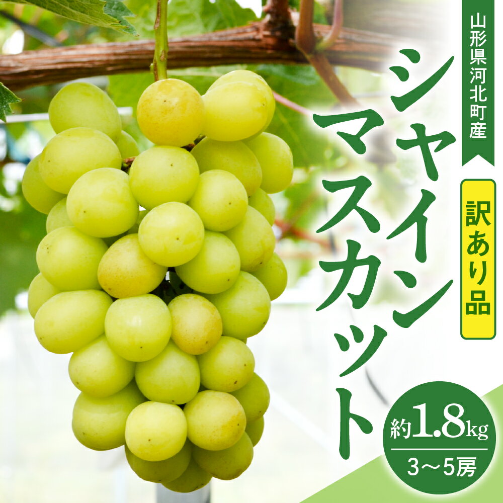 【ふるさと納税】【訳あり 令和7年産】 ぶどう シャインマスカット 約1.8kg ( 3～5房 ) 山形県河北町産【山形eLab】/ 葡萄 ブドウ マスカット フルーツ 果物 くだもの お取り寄せ グルメ 産地直送 山形県 河北町