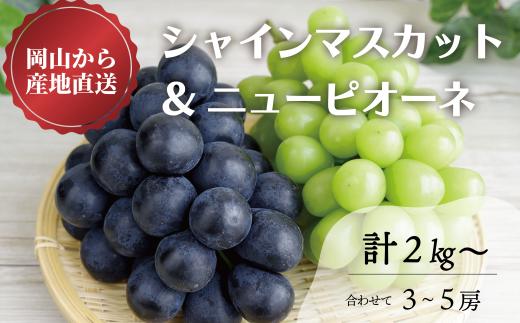 【2026年先行予約】シャインマスカット＆ニューピオーネ 3-5房/計2.0kg~ (岡山県産) 【KF-B070-03】