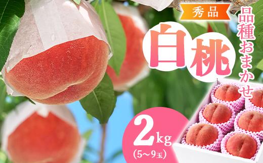 
            有機肥料栽培 白桃 2kg（5～9玉） 秀品 品種おまかせ 山形産 2025年産 令和7年産 山形県産 【2025年8月下旬頃～9月下旬頃発送予定】　012-B-AF007
          