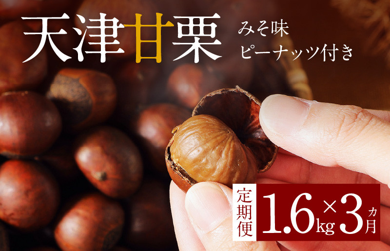 
【旬限定の定期便】この道45年の職人が焼く､やさしい甘みたっっっぷり！｢天津甘栗｣1.6kg! みそ味ピーナッツ付き 焼きたて 栗 くり 栗爪 殻付き お菓子 おつまみ 人気 高リピート 小分け 栗ご飯 栗きんとん 甘露煮　H045-059
