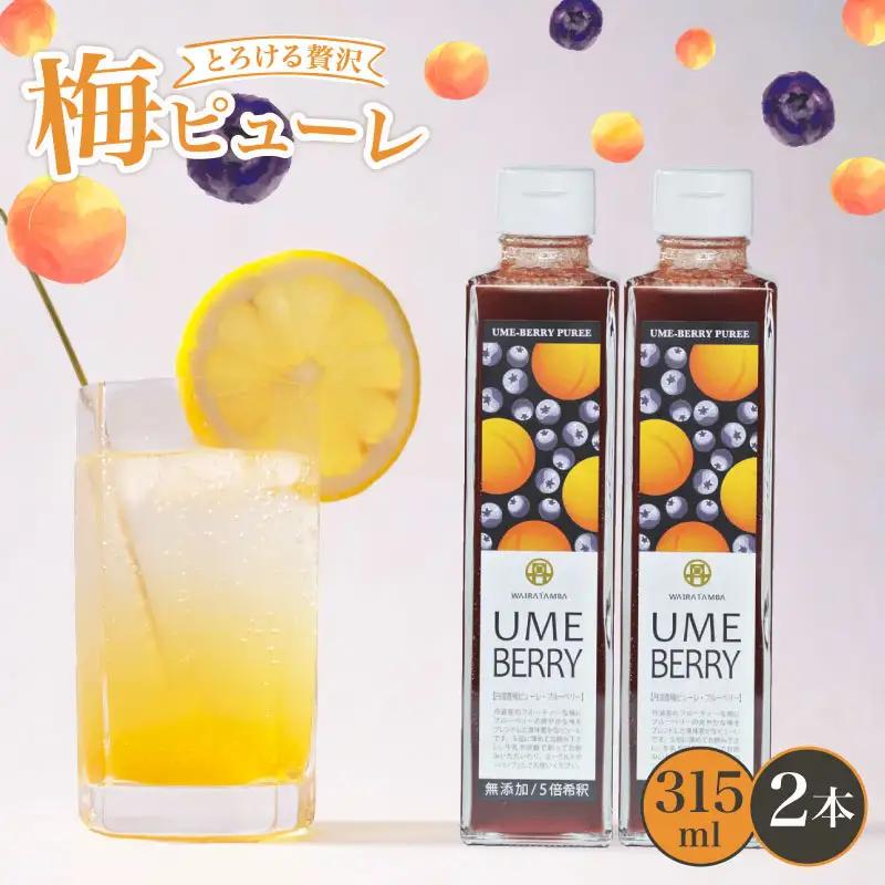【梅ベリーピューレ】UMEBERRY 2本セット 梅 ジャム 