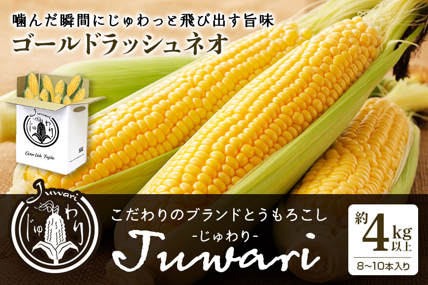 【数量限定 先行予約】＜2025年夏発送予定＞ブランドとうもろこし【Juwari-じゅわり-】ゴールドラッシュネオ 約4kg以上（8～10本入り） とうもろこし トウモロコシ 41-A