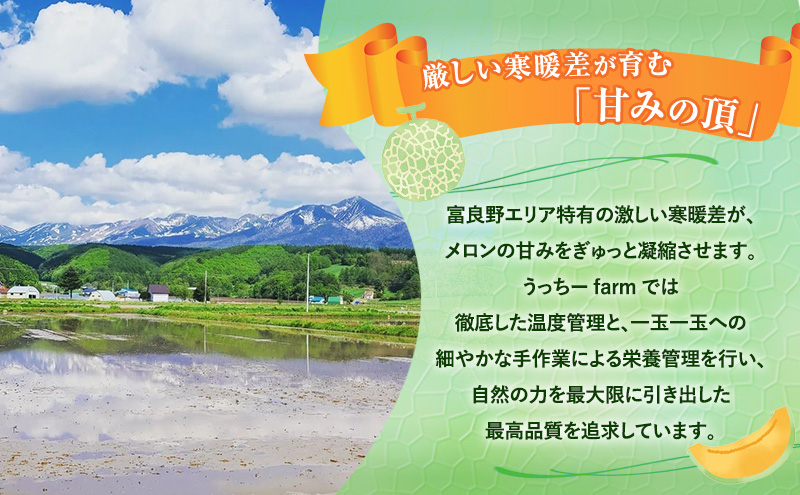 【令和8年産】メロン 富良野 高糖度 赤肉メロン 計4玉 （2玉×2箱） めろん 赤肉 果物 フルーツ 甘い 糖度 約1.8kg ～ 2.3kg うっちーfarm 北海道 メロン かみふらの フルーツ