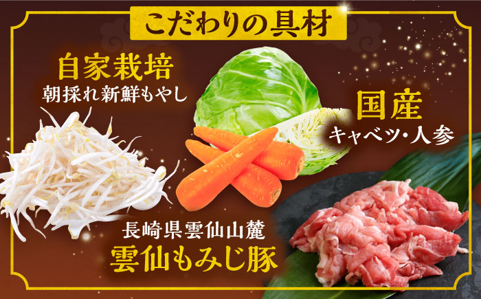 【6回定期便】冷凍 長崎皿うどん 4食 具入り / うどん 皿うどん 麺 / 南島原市 / 狩野食品 [SDE019]