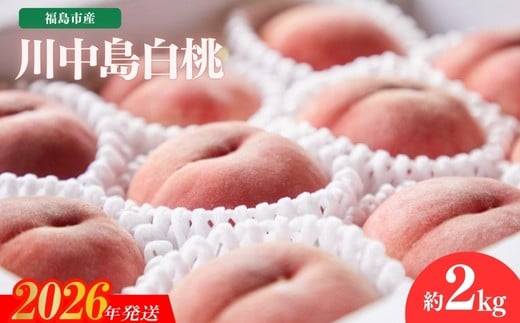 
            No.2723福島市産　川中島白桃　約2kg【2026年発送 先行予約】
          