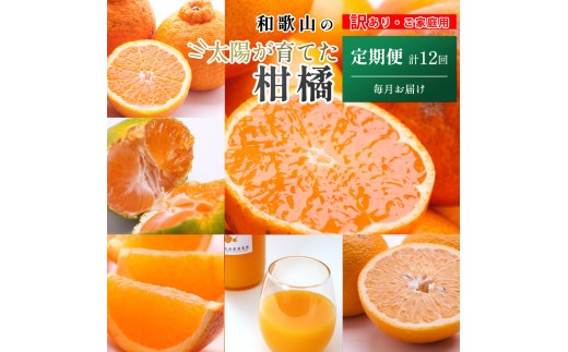 家庭用 柑橘定期便M（毎月）全12回 ［IKE307］