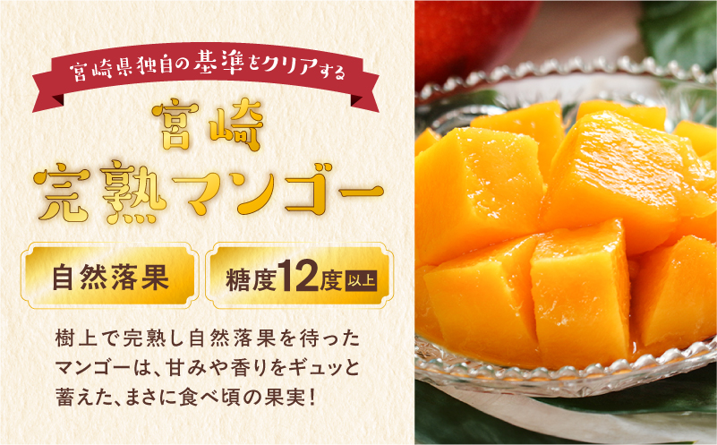 完熟マンゴー2L×2玉（パック）【JA綾町】_A0114-1021