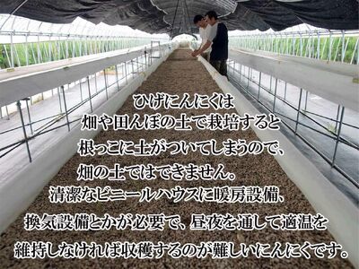 【発芽ひげにんにくと有精卵】黒ひげにんにく玉 3袋（1袋60粒入） / にんにく卵黄 にんにく 黒にんにく ニンニク にんにく玉 健康食品 / 佐賀県 / 日本にんにく[41AAAO010]