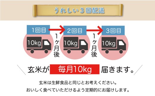 ＜令和6年産米＞ 約2週間でお届け開始　はえぬき【玄米】30kg 定期便 (10kg×3回) 鮭川村