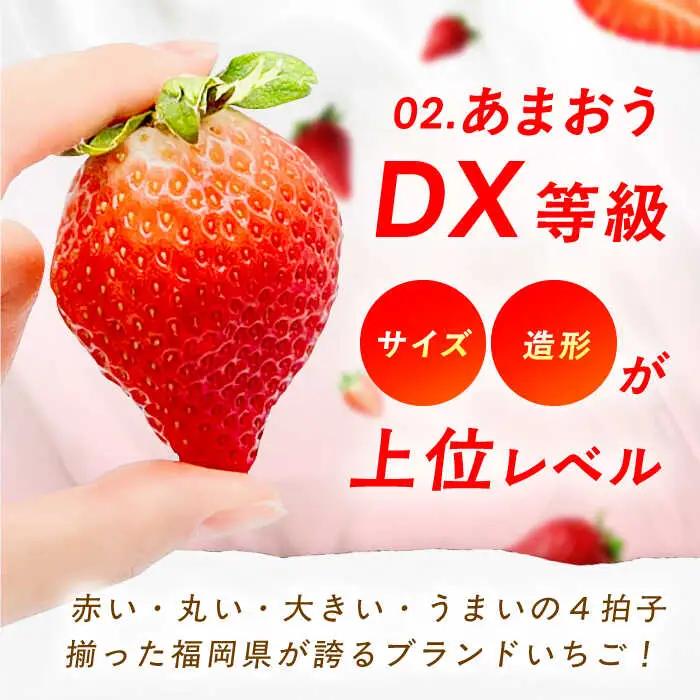 フルーツ詰合せ（あまおうDX 2パック＆キウイ12個）[AFAB087]  フルーツ