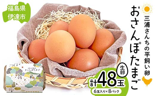 三浦さんちの平飼い卵 おさんぽたまご 計48玉 伊達市 福島県 国産 養鶏場直送 卵 たまご 玉子 生卵 鶏卵  ゆで卵 たまご焼き 目玉焼き 朝食 タマゴ 食品 F20C-949