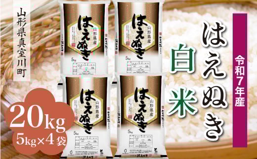 ＜令和7年産米＞ はえぬき 【白米】 20kg （5kg×4袋）＜配送時期指定可＞　山形県真室川町