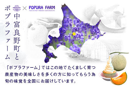 【2026年発送】【ポプラファーム】富良野メロン大玉1玉（2㎏以上秀品）【BC-001】