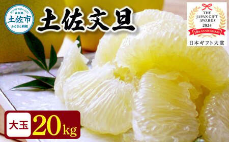 【先行予約】日本ギフト大賞2024受賞！園主こだわりの土佐文旦 約20kg（10kg：17～24玉×2箱） 高知県土佐市 【やの一果彩】 [BQAC008]