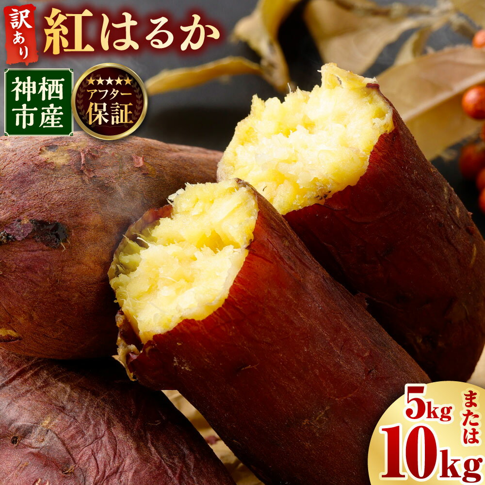 【ふるさと納税】“熟成”神栖市産さつまいも（紅はるか） 訳あり 約5kg 約10kg さつまいも サツマイモ さつま芋 芋 いも 訳あり 不揃い 自宅用 野菜 茨城県 神栖市 送料無料