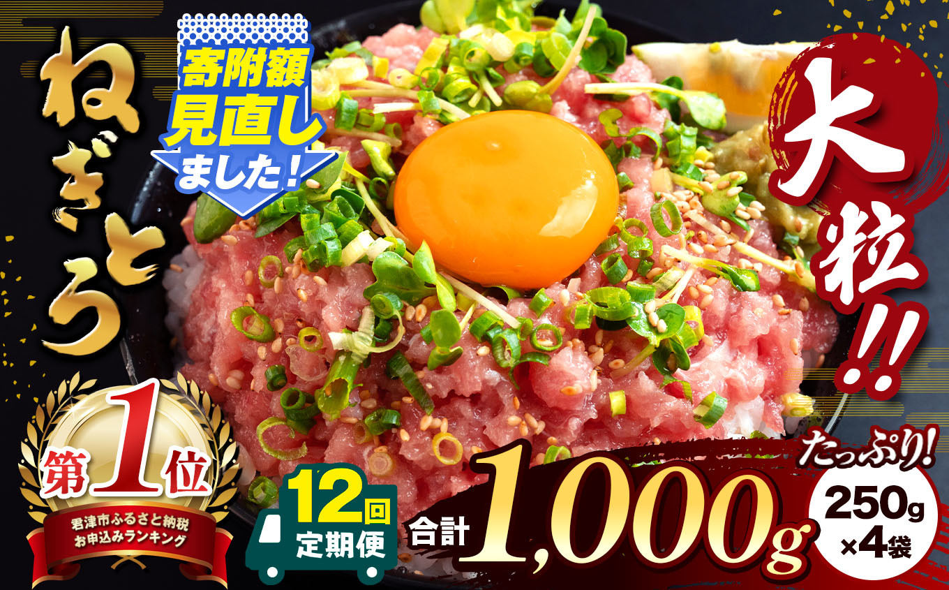 
            【 定期便 ・ 12ヶ月 】 清幸丸水産 大人気！ ねぎとろ 1000g | ネギトロ とろ 鮪 海鮮 魚介 魚 人気 小分け 人気 定番 ご飯 オススメ 千葉県 君津市 きみつ
          