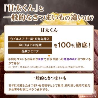 冷凍焼き芋「甘太くん」5本　1.75kg【配送不可地域：離島】