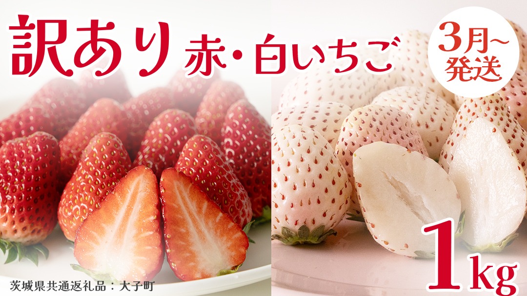 訳あり 紅白いちご 1kg【2026年3月発送開始】(茨城県共通返礼品：大子町) 苺 果物 フルーツ 果実 ご家庭用 