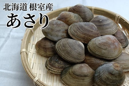 【北海道根室産】冷凍あさり300g×5P(計1.5kg) A-12005