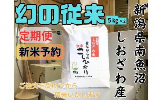 【令和7年産・新米予約・定期便】地元の人に愛され続けている昔ながらの従来コシヒカリ 10kg×３か月　新潟県南魚沼産