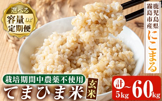
                  K-391 ＜容量・定期便が選べる＞ 令和7年産 てまひま米・玄米(品種:にこまる)(計5kg・計10kg・計20kg・3回定期便・6回定期便・12回定期便)【末蜜農園】霧島市 お米 玄米 米 こめ コメ ご飯 ごはん 定期便 栽培期間中農薬不使用
                