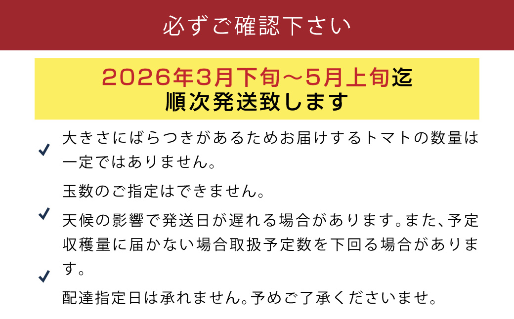 【数量限定 先行予約】糖度10度以上！ たかしまフルーティトマト 「ハートの女王」1kg箱 【2026年3月下旬-5月上旬発送予定】／ 甘い 野菜 トマト たかしま農園 高島 長崎県 長崎市