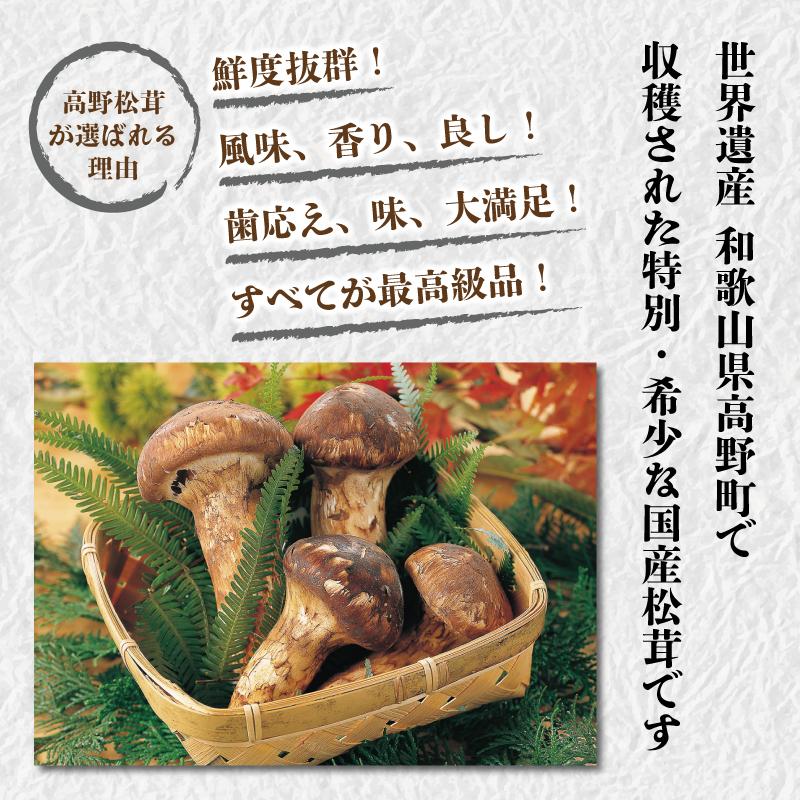 【2025年発送分】香り・歯応え・味ともに最高級！希少な国産松茸「高野松茸」200g【化粧箱入】　AB77_イメージ3
