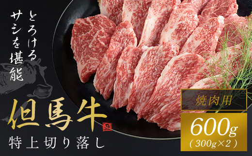 但馬牛特上切り落とし 300g×2P (焼肉用) 神戸牛 神戸ビーフ 牛肉 黒毛和牛 国産牛 ブランド和牛 切り落とし 牛切り落とし 切り落とし肉 焼肉 焼き肉 BBQ バーベキュー 兵庫県 朝来市 AS1CA15