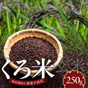 【ふるさと納税】米 くろ米 250g 玄米 自家生産 栽培期間中 農薬 不使用 レターパック配送 自社生産 食品 食べ物 ご飯 おにぎり おむすび お米 お弁当 お米 瀧本農産 お取り寄せ 宮崎県 延岡市 送料無料