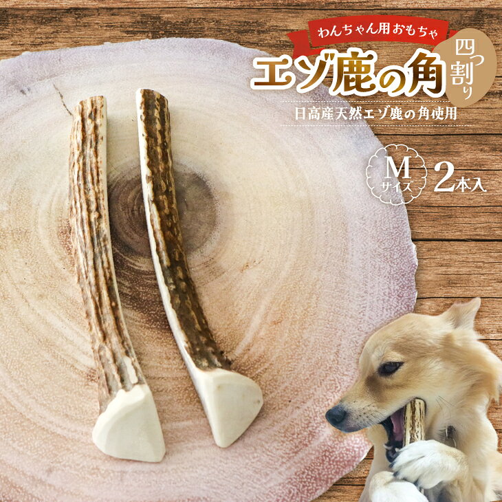 【ふるさと納税】エゾ鹿の角 Mサイズ×2本セット(四割)[54-1369] 北海道 浦河 ふるさと納税 鹿の角 鹿 天然 犬用 わんちゃん おもちゃ 玩具 デンタルケア 送料無料