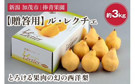 【2026年先行予約】【贈答用】西洋梨 ル・レクチェ 約3kg（7〜10玉） 《11月下旬～順次発送》 ル・レクチエ ルレクチエ ルレクチェ  幻の西洋梨 果実 フルーツ 冬の味覚 加茂市 捧青果園