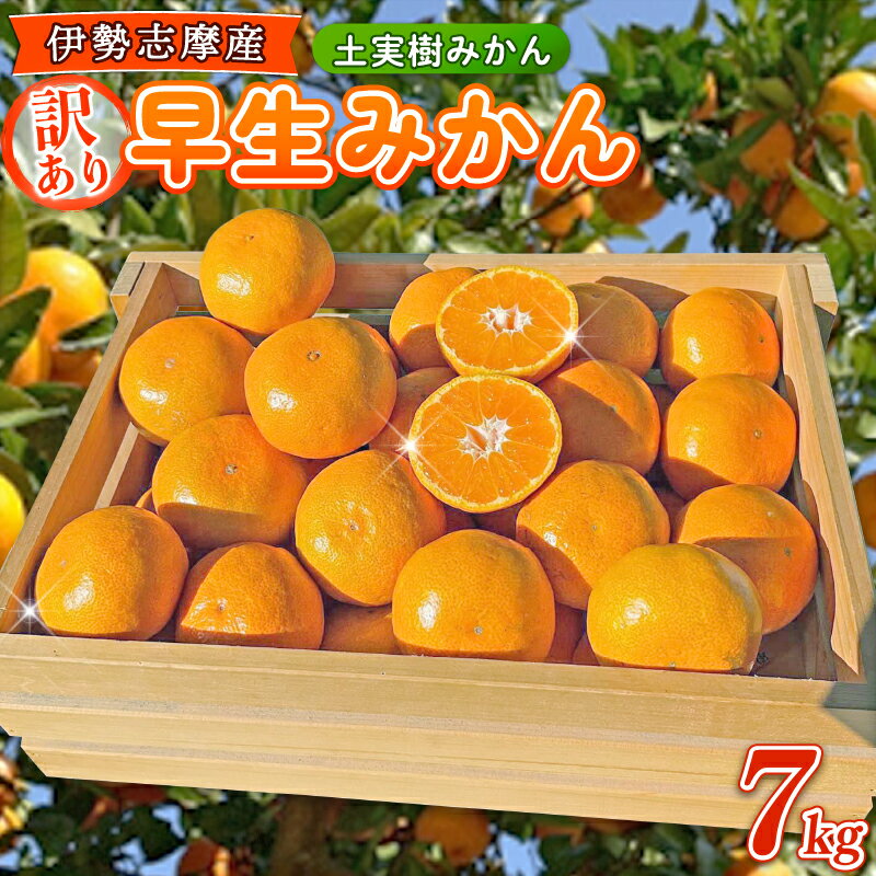 【ふるさと納税】 訳あり 早生みかん 7kg ご家庭用 みかん 期間限定 温州みかん mikan 果物 かんきつ 土実樹みかん ミカン 蜜柑 柑橘 フルーツ くだもの 果物 訳アリ わけあり 伊勢志摩産 三重県 南伊勢町 土実樹農園 15000円 20000円以下 一万円台