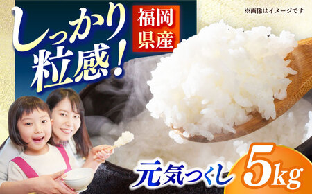 【令和7年産】果物屋さんが選んだ米 元気つくし 5kg 米 白米 お米 ブランド米[ABET010]