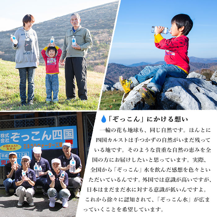 ＜四国カルスト天然水ぞっこん 2L×6本 計12L＞飲料 水 みず 中硬水 弱アルカリイオン水 ペットボトル ウォーター バナジウム 備蓄 防災 キャンプ アウトドア 国産 特産品 ぞっこん四国 愛媛